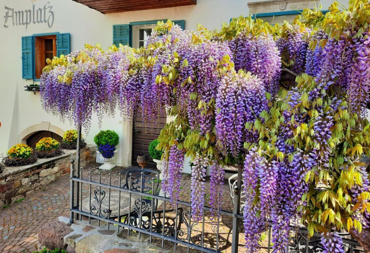 Amplatz 1523 - B&B And Suites Montagna Exterior foto